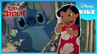  Lilo's Heartwarming Choice! | Lilo and Stitch | Disney Kids