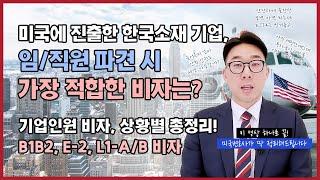 미국 기업진출, 인력을 무슨 비자로 보낼 지 모르겠다면? 10분 내로 다 설명해 드립니다. | B1B2비자, E-2비자, L비자, L-1A, L-1B, 주재원비자