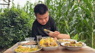 励志小伙来家里做客，满满的正能量，感动了小莫
