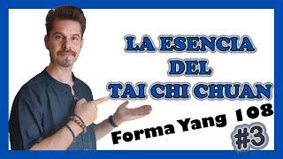 Yang TAI CHI 108 TUTORIAL  Guía DEFINITIVA 3 #yang #taijiquan