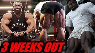 MR. OLYMPIA 2024 - 3 WEEKS OUT - 17 Contestants Updates 