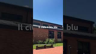 Il cielo è blu blu!