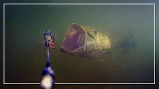 NAGRAŁEM ATAK SZCZUPAKA POD WODĄ | SPINNING w SŁOŃCU