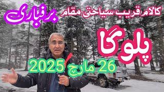 Snowfall in Swat | Paloga & Glacier Covered in White | Chilling Weather Update