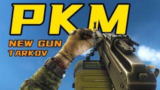 PKM·AK-12·SVT  [Escape From Tarkov] 0.13.5 - New Weapon Showcase | 4K60