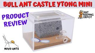 Bull Ant Castle Ytong Mini - Bull Ant Nest - Product Review