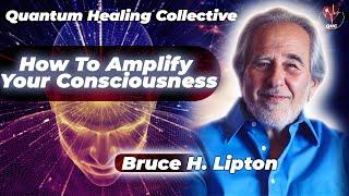 Bruce H. Lipton, How To Amplify Your Consciousness With  Quantum Healing Collective