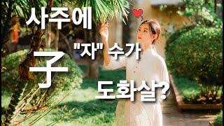 내 사주에 도화살?  지지 "자" 수는?