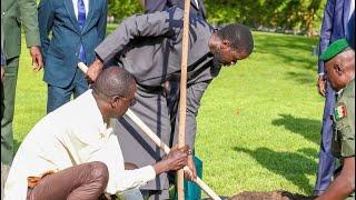 JOURNÉE MONDIALE DE L’ENVIRONNEMENT | L’appel du président Bassirou Diomaye Faye