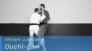 Ouchi-gari - Demo