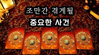 [타로] 조만간 다가올 중요한 사건