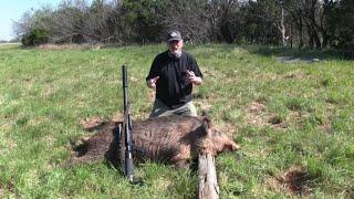 Airgun Hunt for Hogs: A Big Pig Anchored!