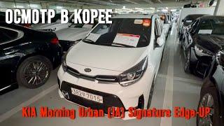 KIA Morning Urban (JA) Signature Edge-UP - осмотр в Корее