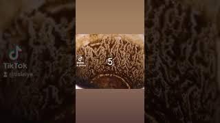 تعلم قراءة الفنجان او تعلم تبصير بالفنجان يوجد بالفنجان رموز وكل رمز له معنى اذا شفت رقم ٥ بالفنجان