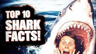  Top 10 Mind-Blowing Facts About Sharks You Won't Believe! 