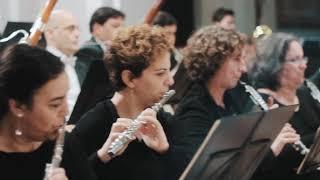 Dubrovnik Symphony Orchestra promo video