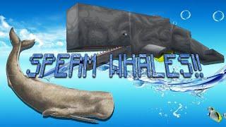 sperm whale! ({INFOCRAFT})
