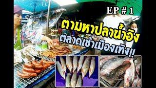 ตามหาปลาใหญ่!! น้ำอิง  ตลาดเมืองเทิง EP#1