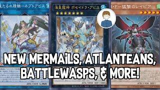 NEW MERMAILS, BATTLEWASPS, & MORE! Yu-Gi-Oh!