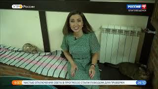 Первое котокафе в Амурской области