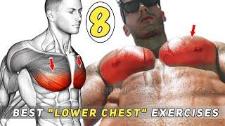 8 Best Chest Workout : Target (Lower Chest Pectoral Muscles)