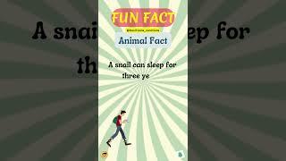 "Can a Snail Really Sleep for 3 Years? "
