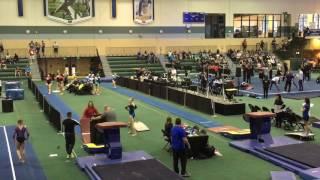 Hayley Hawkins, Class of 2018, Level 9, Presidential 2017 - Vault 9.325