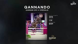 Qannando B&V