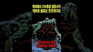 해외에서 250종을 멸종시켜 악마로 불리는 한국개구리