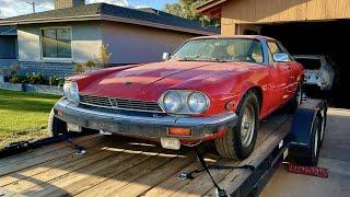 Can You Daily Drive a V12 Jaguar XJS... Let's find out!