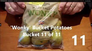 11.Grow Potatoes. 'Wonky' Bucket Potatoes. Trial Bucket 11 of 11. Amazing total weight returned.