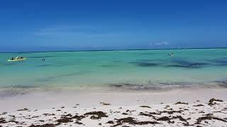 Hyatt Ziva Zilara Cap Cana - Beach Conditions