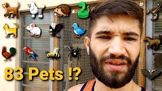 Todos os meus 83 bichos - Pets Na Net