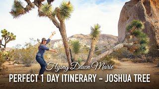 288: Perfect 1 Day Itinerary for Joshua Tree National Park - Complete Day Trip Travel Guide