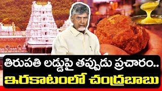 CM Chandrababu Comments on Tirupati Laddu : PDTV News