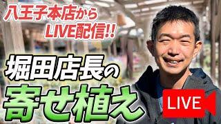 《生配信！》11月1日 堀田店長の寄せ植えをLIVEにてご紹介！八王子本店からお届けします！