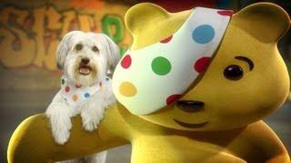 Pudsey and Pudsey - Children in Need 2012 - BBC