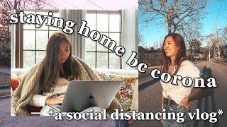 Quarantined at Home vLoG (im bored) 