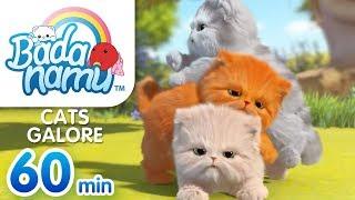 Cats Galore | Badanamu Compilation l Nursery Rhymes & Kids Songs