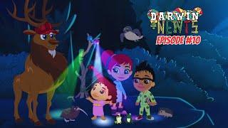 Darwin और Newts ने जाना Nocturnal animals के बारे में  | Darwin & Newts | Full Episode 00