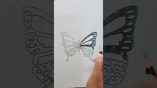 Butterfly sketch step by step  #nsm #butterfly #butterflyart #art#drawingideas