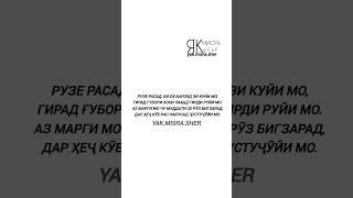 #tajikistan #inshot #dushanbe #душанбе #таджикистан #точикистон #хисор #хучанд #кулоб #shorts #топ