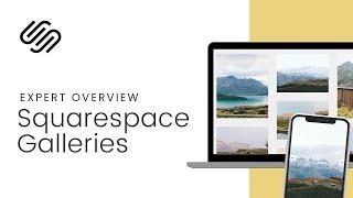 Squarespace Galleries: The Ultimate Beginner's Guide to Gallery Sections in Squarespace 7.1