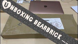 Unboxing bearbrick display casing