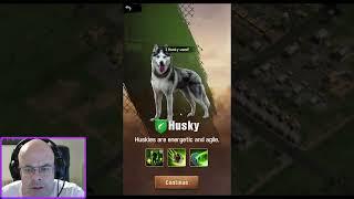 The walking dead: Survivors [Event guide] - Daily animal missions