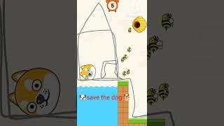 save the dog #viral #trending #shortsvideo #trendingshorts #rkd #video #rkd #new #video 