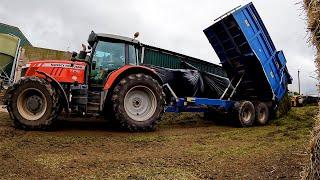 Chopping Some WET Grass! | Big Calving Day!