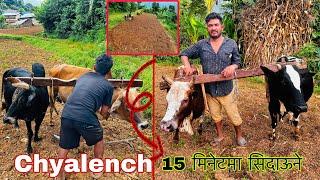 कति मिनेट मा सीदाय त बारी जोतेर  भनेको समय मानै सीदायका छन Rolpa vlog ​⁠@1kSridharVlog1