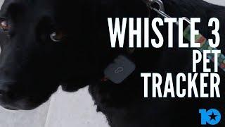 REVIEW: Whistle 3 Pet Tracker