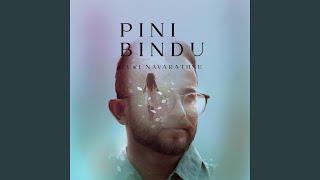 Pini Bindu